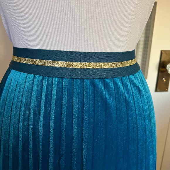 Gorgeous Velvet Maeve Skirt - Picture 8 of 9